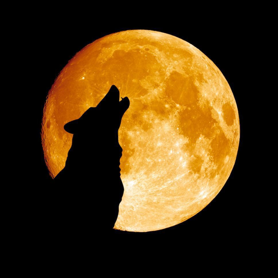 Wolf Moon.jpg